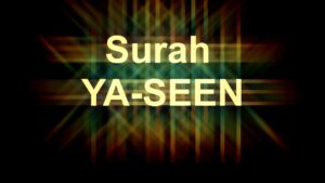 Read more about the article Surah Yaseen In English
